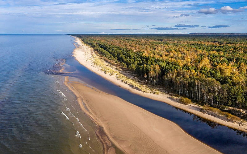River Irbe Estuary in Baltic Sea, sea, forest, beach, Latvia, river, estuary, coast, HD wallpaper