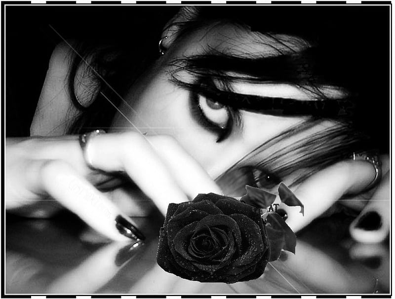 Rose girl, fantasy, girl, gothic, rose, black, white, HD wallpaper