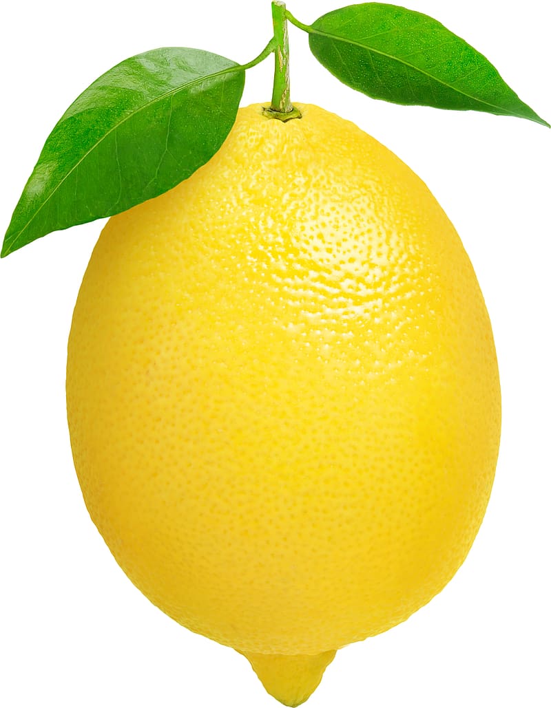 Best Lemon Clip Art, HD phone wallpaper