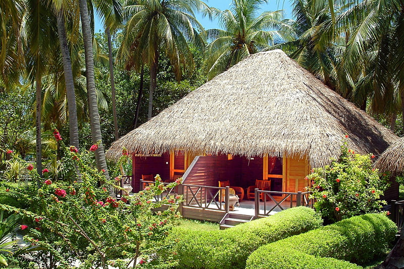 Lush and Green Beach Hut, polynesia, hut, lodge, palm, sea, beach, sand, green, flowers, luxury, forest, exotic, ocean, lush, escape, trees, paradise, island, rain, tropical, HD wallpaper