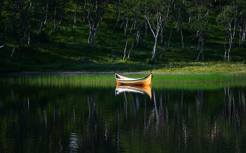 Boat, Lake, Forest Ultra, Nature, Lakes, Landscape, Green, Trees, Lake, Wooden, Tree, Water, Calm, graphy, Nordic, Sony, Arctic, Mirror, Boat, Still, Outdoors, Norway, Reflection, Natural, Circle, Traditional, viking, Alpha, Fjord, Norwegian, visit, landscapegraphy, troms, scandinavia, sonyalpha, calmwater, a7riii, sonynordic, arcticcircle, fjordlake, mirrorwater, norwegianboat, rdsand, stillwater, stonglandseidet, traditionalboat, trany, vikingboat, visittonorway, woodenboat, HD wallpaper