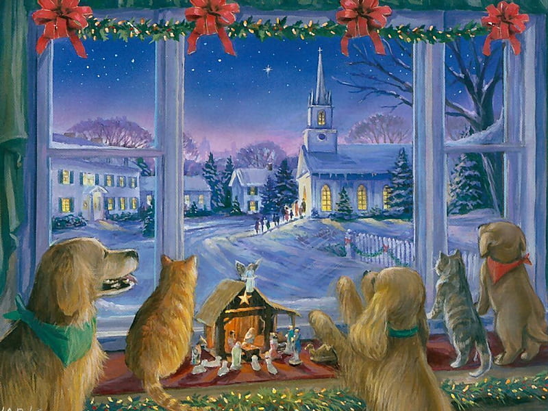 Waiting for Santa, family, cosy, home, cats, dogs, winter, HD wallpaper
