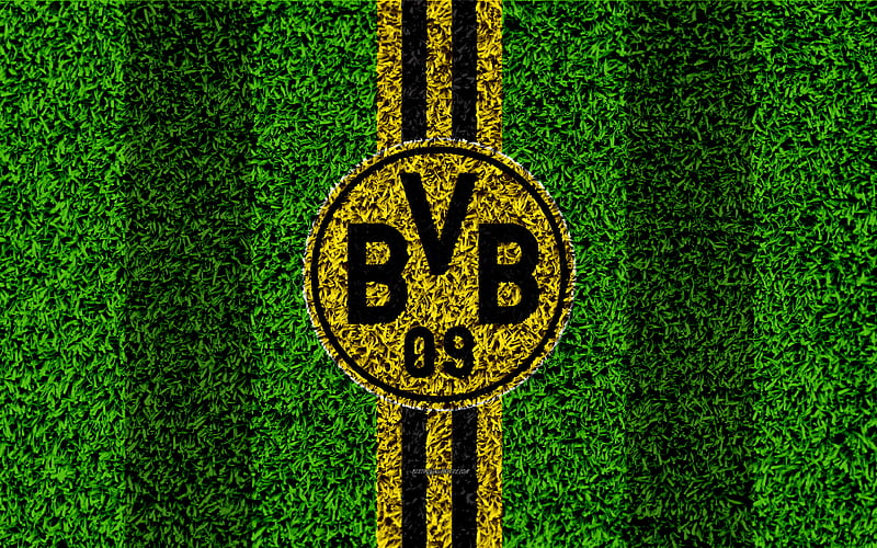 Borussia Dortmund FC German football club, football lawn, Borussia logo, emblem, grass texture, Bundesliga, Dortmund, Germany, football, HD wallpaper