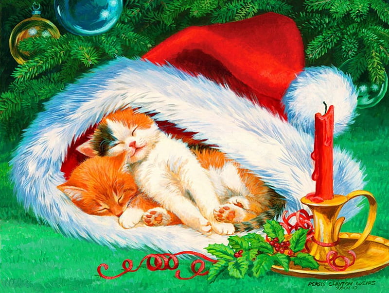 Sleeping in the hat, pretty, house, sleep, home, bonito, eve, nice, painting, comfortable, art, candle, cozy, lovely, holiday, christmas, decoration, kitty, new year, joy, pets, cat, mood, hat, tree, santa, balls, funny, kitten, branches, HD wallpaper