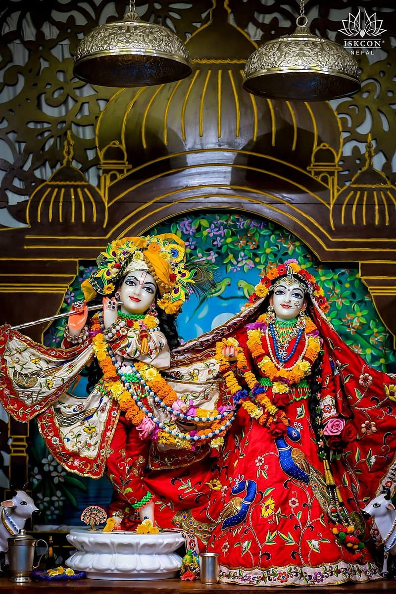 Krishna, radha krishna, sumedh, HD phone wallpaper | Peakpx