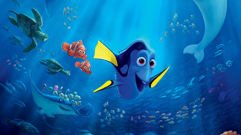 Finding Dory Animated Movie, finding-dory, movies, animated-movies, 2016- movies, HD wallpaper | Peakpx