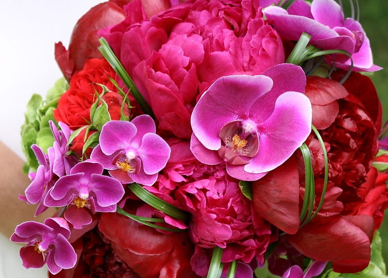un ramo de peonías y orquídeas ***, piekne, kwiaty, bukiety, naturaleza,  Fondo de pantalla HD | Peakpx