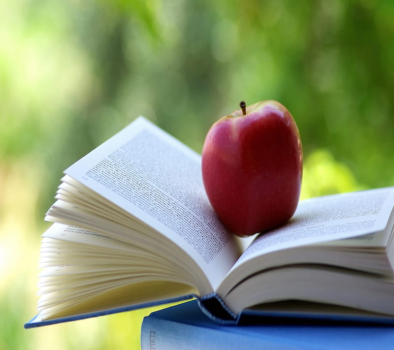 apple reflection, apple, book, cool, siempre, green, nature, nice, reflections, HD wallpaper