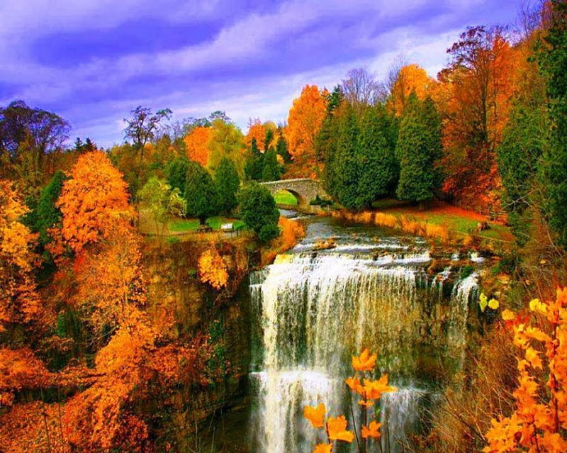 Wbster's Falls, Ontario, Canada, fall, autumn, waterfall, colors, river, trees, HD wallpaper