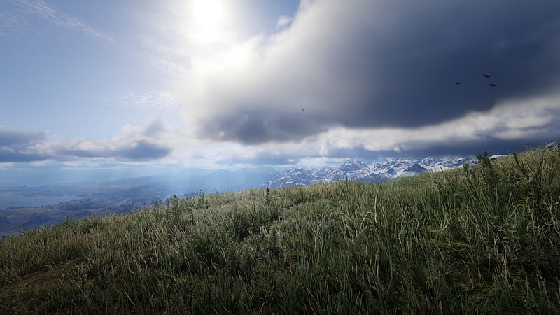 game landscape, red dead redemption 2, field, grass, plants, clouds, scenery, Games, HD wallpaper