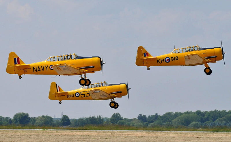 WWII Training Harvards, Harvards, Military, Aircraft, WWII, HD wallpaper