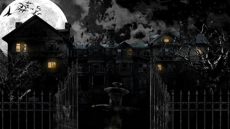 Black Haunted Mansion With Moon Backgroud Birds Flying Near Movies, HD wallpaper