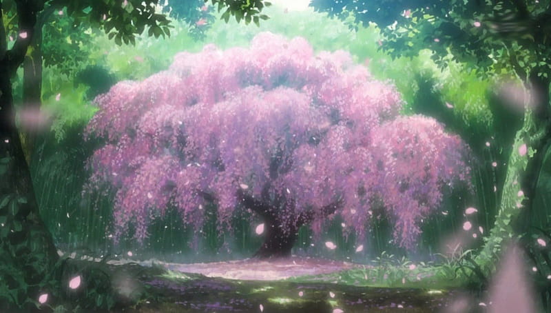 Anime Cherry Blossom, sakura blossom, plant, breeze, woods, bonito, cherry blossom, blossom, green, anime, beauty, pink, sakura, forest, lovely, wind, tree, nature, petals, HD wallpaper
