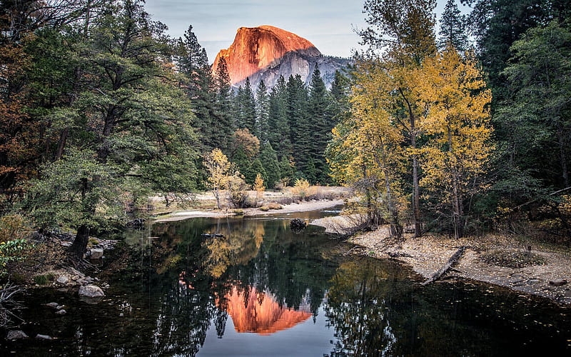 Half Dome, Yosemite National Park, California, water, trees, usa, reflections, mountains, HD wallpaper
