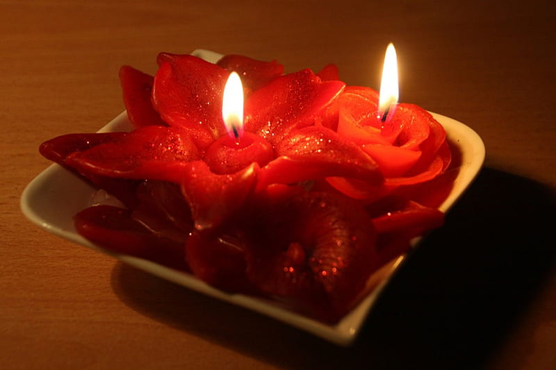 RED ROSES OF CANDLES, VALENTINES, ROMANTIC, CANDLES, ROSES, GLOW, RED