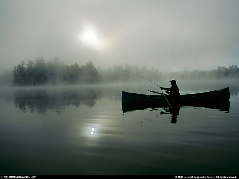 Floating in Morning Mist, floating, trees, silhouette, fog, mist, nebula, at ease, gris, lichtspot, refelction, fishing, HD wallpaper