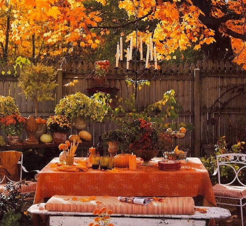 Fall Garden Party, table, fall season, leaves, party, garden, HD wallpaper