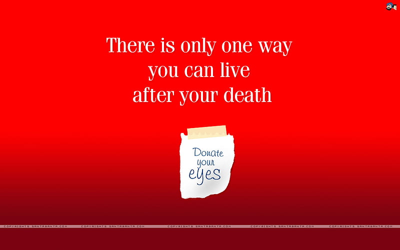 DONATE UR EYES, donate, death, life, eye, living, HD wallpaper