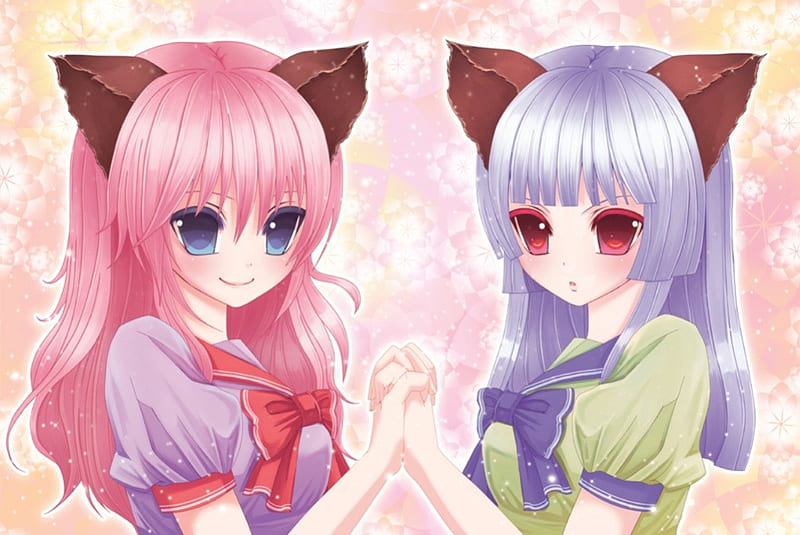 21 Popular Anime Twins Characters - My Otaku World