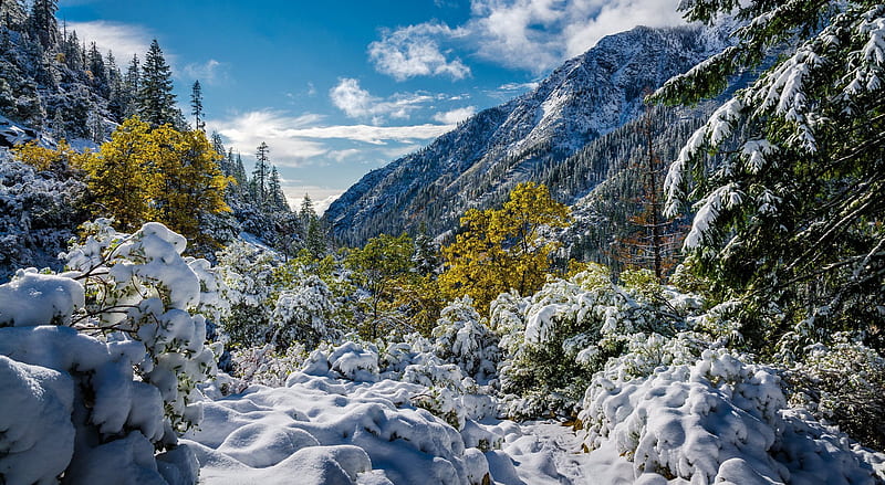 snow, sunny day, trinity alps, alps trinity, mountains, ca, winter, california, HD wallpaper