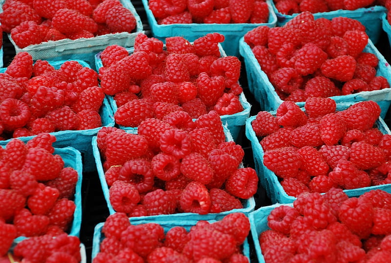 The Pick of the Season, fruit, raspberries, red, fresh, HD wallpaper