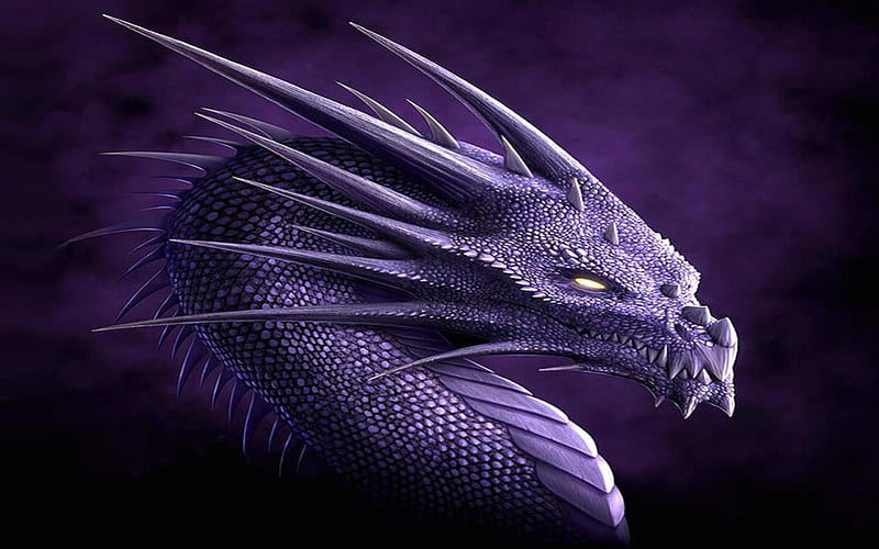 Purple Dragon fantasy purple dragon abstract HD wallpaper  Peakpx