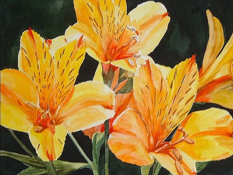 Day Lilies, art, day lily, flowers, HD wallpaper