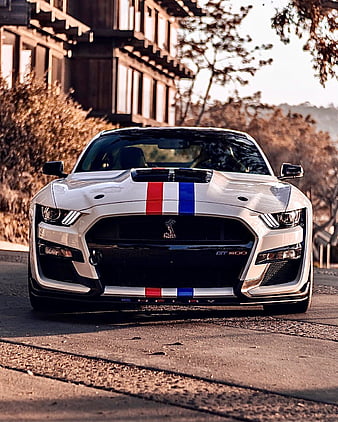 shelby iphone wallpaper