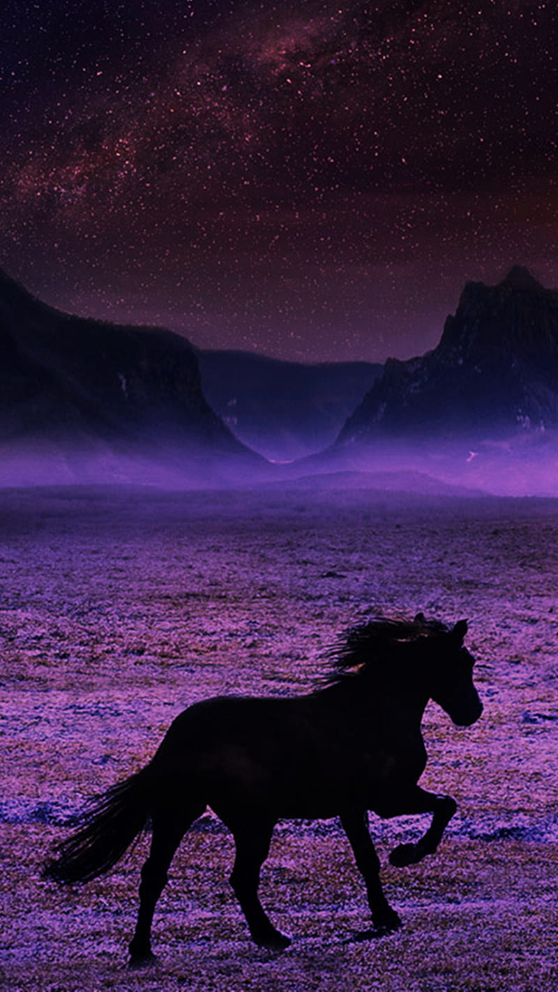 Breathtaking Horse, HD phone wallpaper