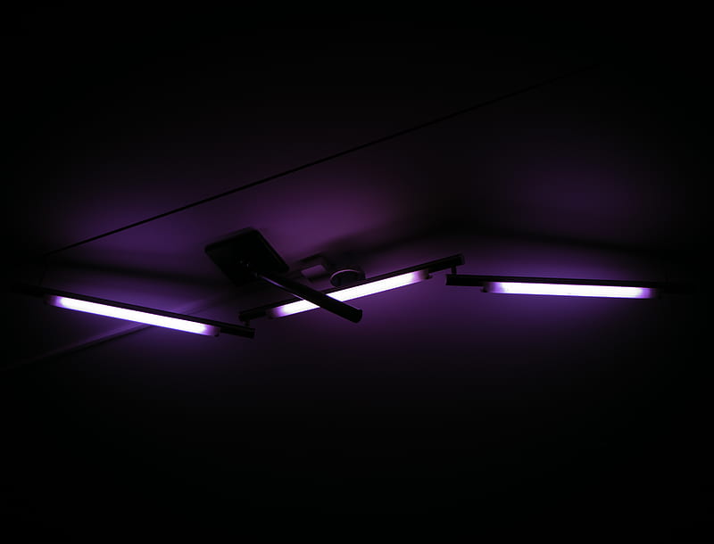 purple fluorescent lamps, HD wallpaper