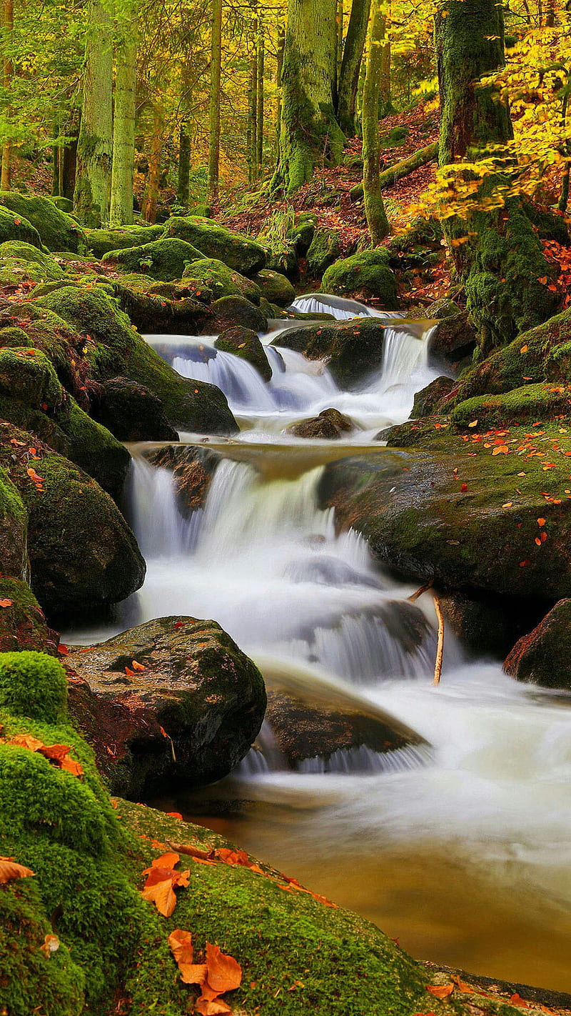 river, forest, green, landscape, nature, original, waterfall, HD phone wallpaper