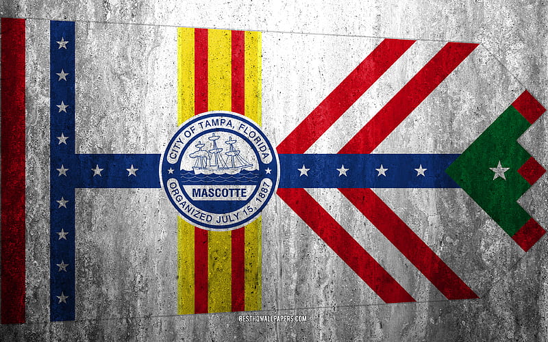 Flag of Tampa, Florida stone background, American city, grunge flag, Tampa, USA, Tampa flag, grunge art, stone texture, flags of american cities, HD wallpaper