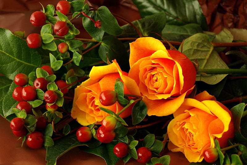 Orange roses, pretty, orange, scent, bonito, roses, buds, leaves, bouquet, petals, HD wallpaper