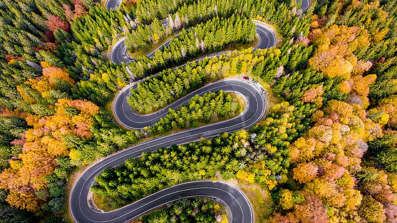 Aerial Curved Road Surrounded By Green Trees (2), HD wallpaper