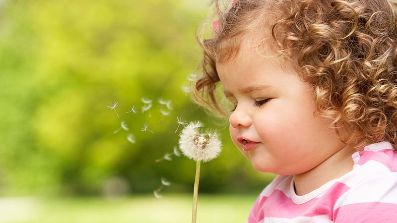 Cute Girl Baby Is Playing With Dandelion Wearing Pink Dress In Blur Green Background Cute, HD wallpaper