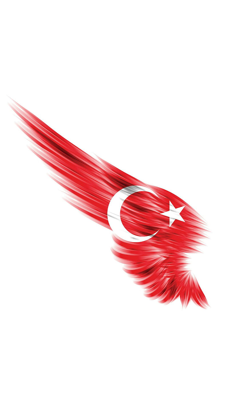 turk, ay, ottoman, red, white, yildiz, HD phone wallpaper