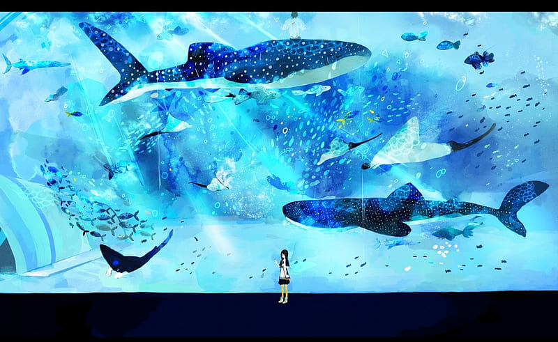 Gawr, anime, blue, blue eyes, chick, hair, love, shark, HD phone wallpaper  | Peakpx