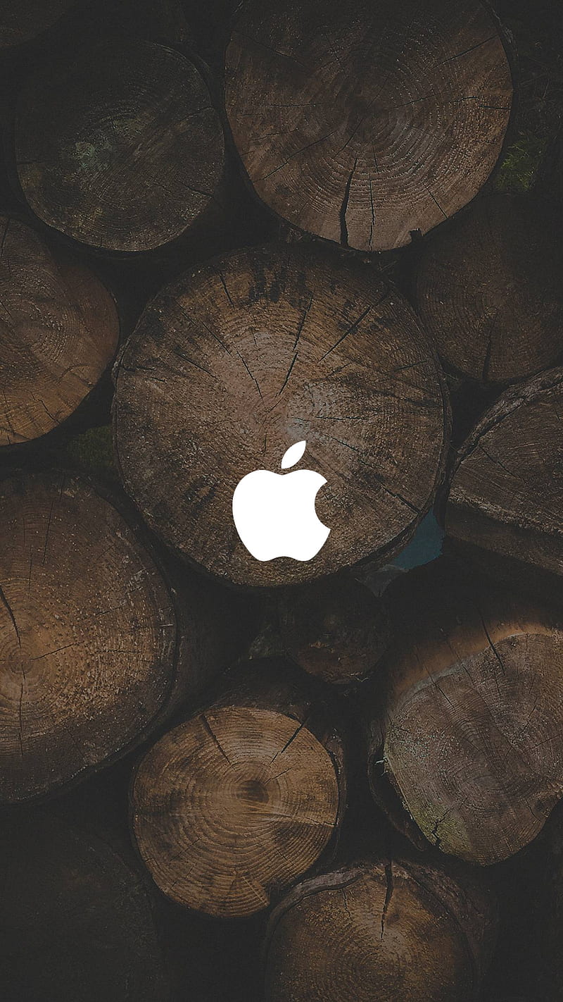Apple Wood, apple, brands logos, minimal, tech, wood, HD phone wallpaper