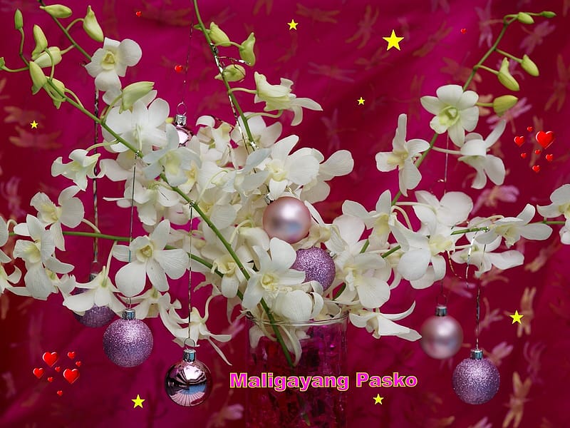 Maligayang Pasko - Philippine Christmas, Filipino Christmas, HD wallpaper