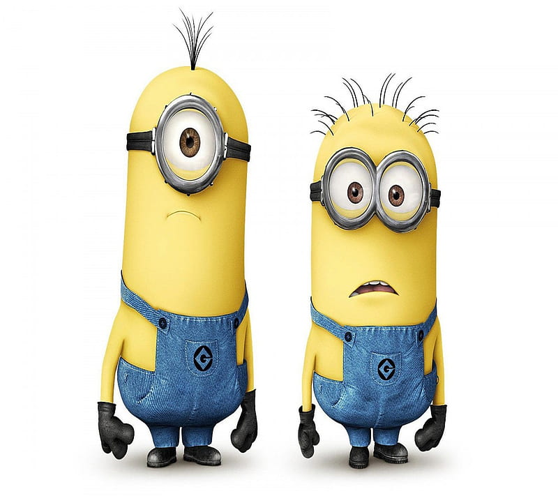 Despicable me, minions, HD wallpaper | Peakpx