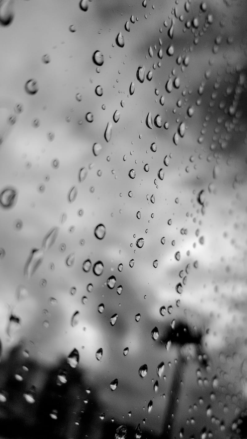 Rainy Day Ari, black, black and white, focus, graphy, rain, rainy day,  white, HD phone wallpaper | Peakpx