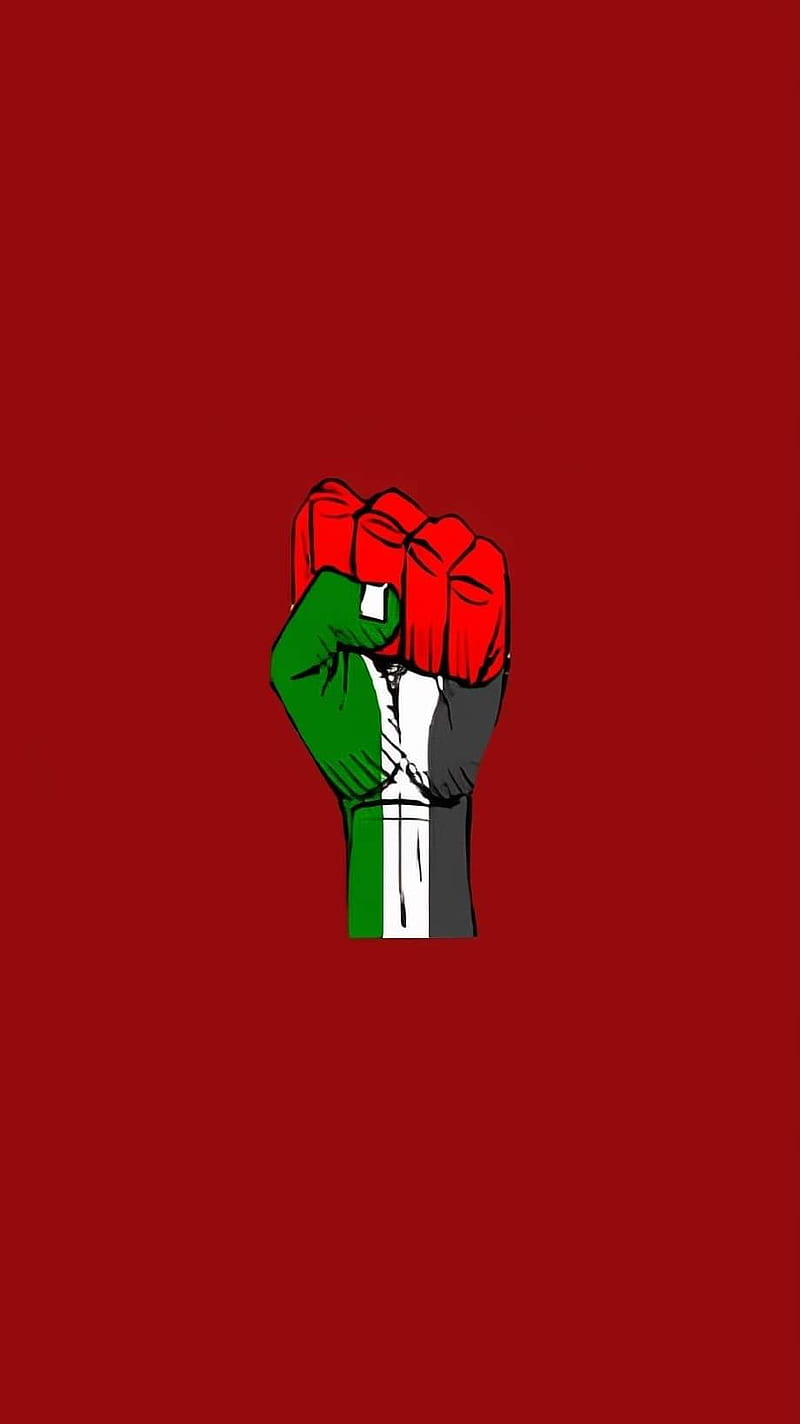 Palestine red flag, plm, city, red background, red flag, logos, arab, palestine, HD phone wallpaper