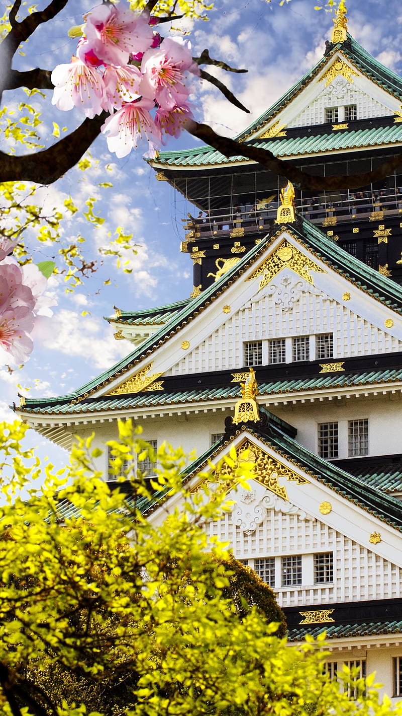 Japanese Temple , japan, cherry blossom, HD phone wallpaper