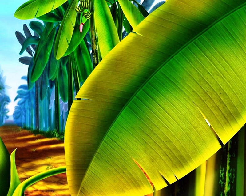 Between Banana Trees, food, nature, Art, trees, Banana, HD wallpaper