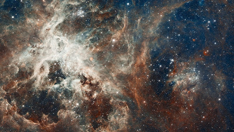 Dorado Constellation, stars, nebula, space, constellations, HD wallpaper