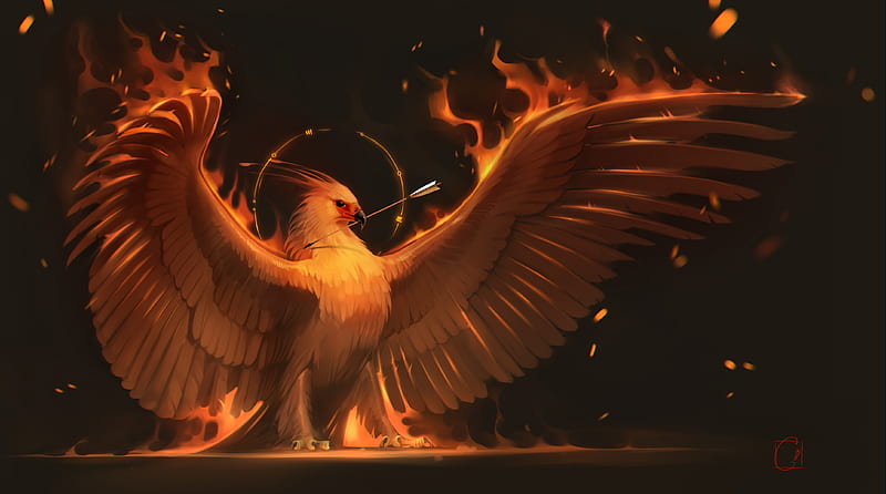 Phoenix, phoenix, artist, digital-art, HD wallpaper