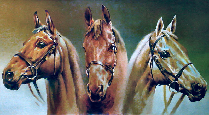 Three Musketeers - Horses , art, palomino, equine, bonito, horse, bridles, artwork, animal, painting, chestnut, wide screen, bay, HD wallpaper