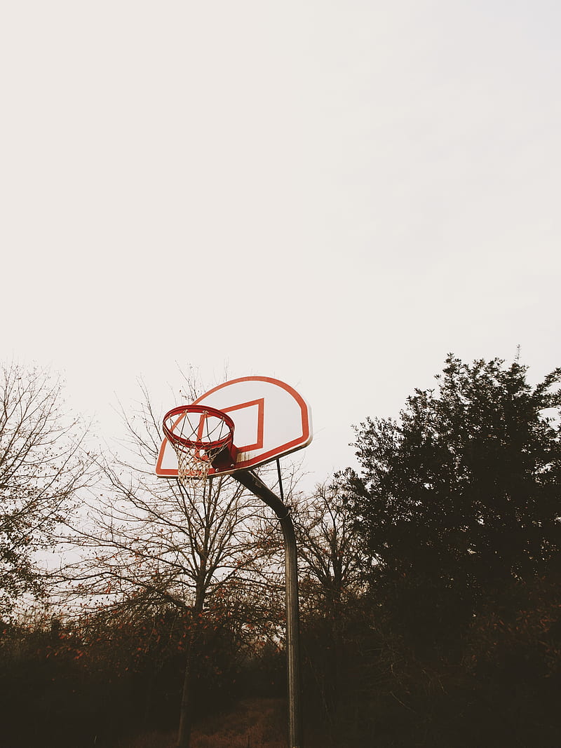 basketball backboard, basketball hoop, playground, trees, HD phone wallpaper