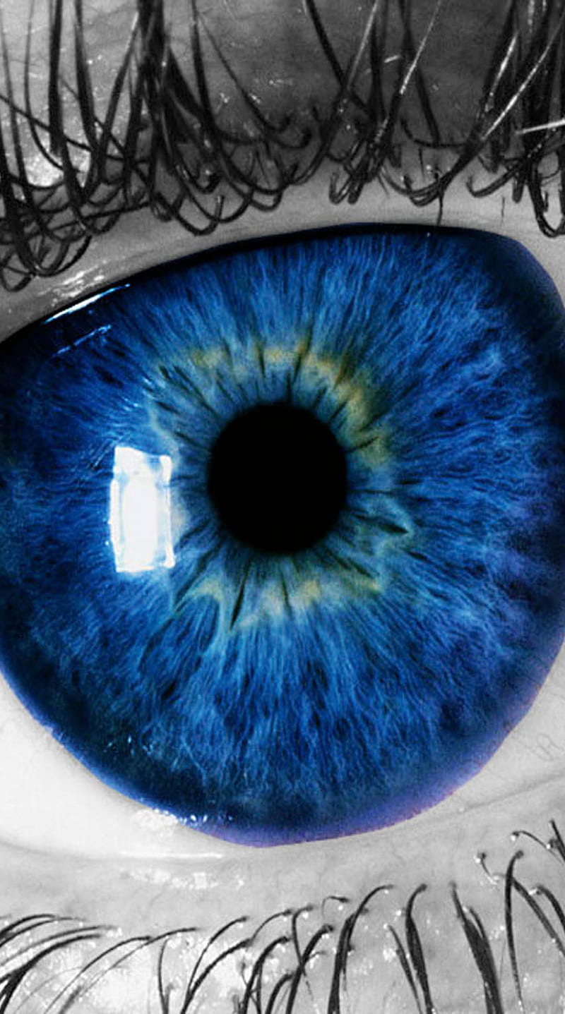 dark blue eye, beautifull eye, HD phone wallpaper
