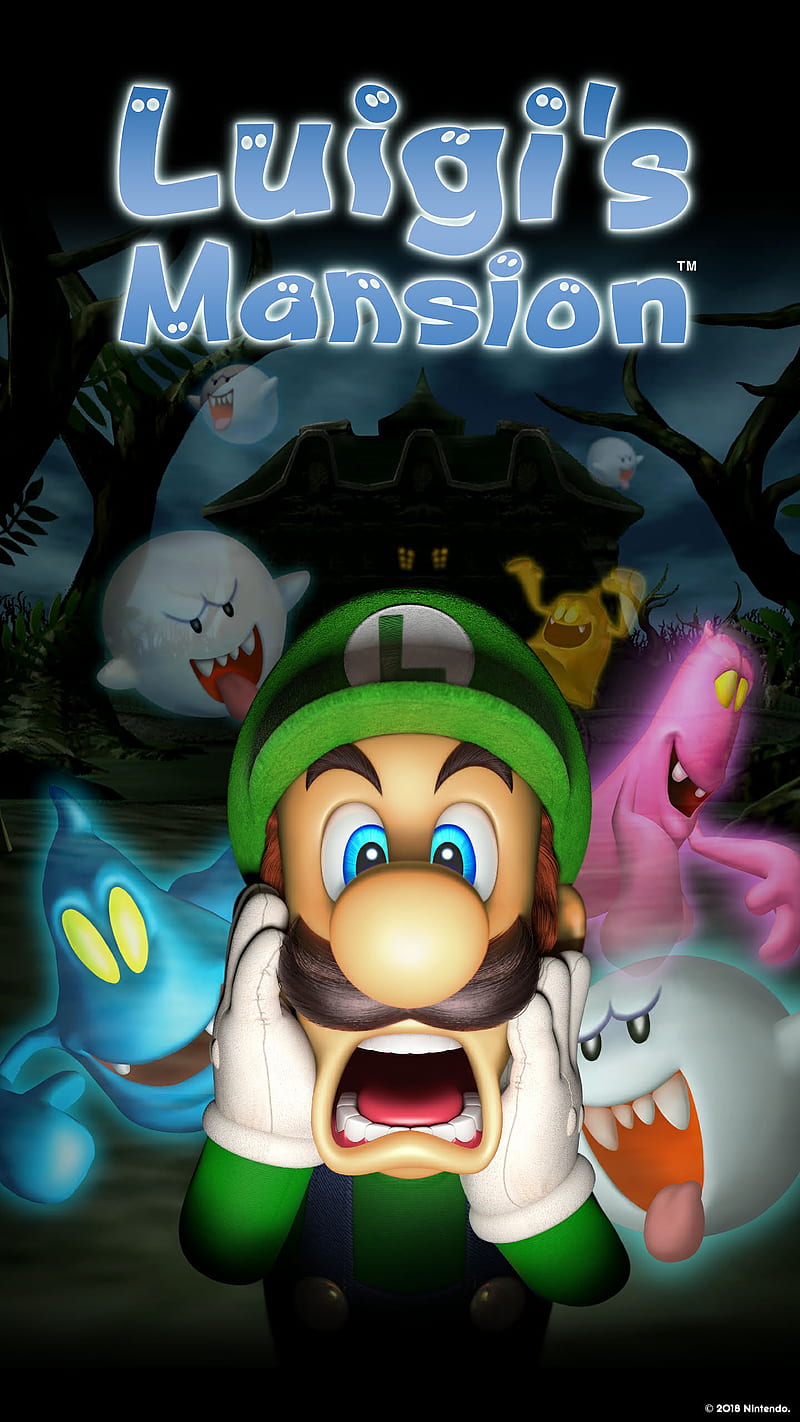 Luigis Mansion, gamecube, games, luigi, luigi mansion, my nintendo, nintendo, nintendo gamecube, HD phone wallpaper